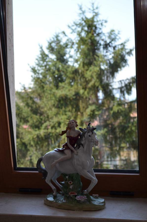 Luiselle Charming Accommodation Sorrento City Center Екстер'єр фото
